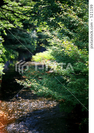 有馬溫泉的有馬河 有馬溫泉的有馬河 521199