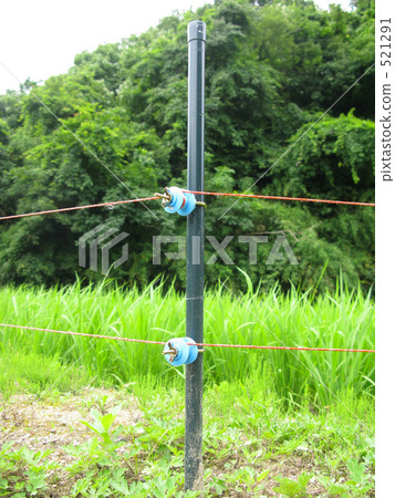 Electric fence to protect rice field from beast damage 521291