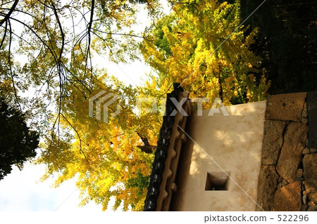 隨著牆和牆 522296