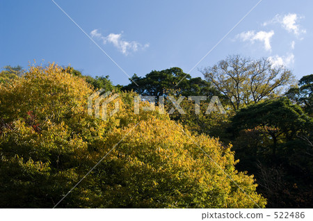 Nanja Monja樹 522486