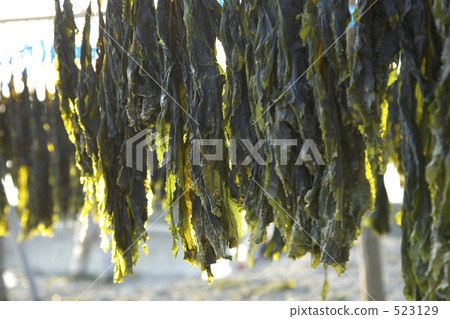 Seaweed's heaven sunrise Seaweed's heaven sunrise 523129