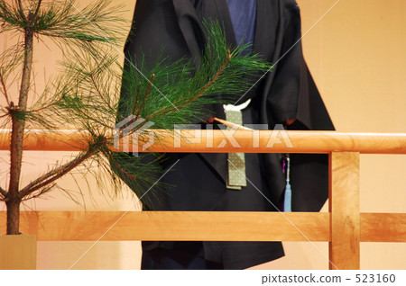 Appearance Appearance 523160