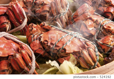 Shanghai Shanghai 524192