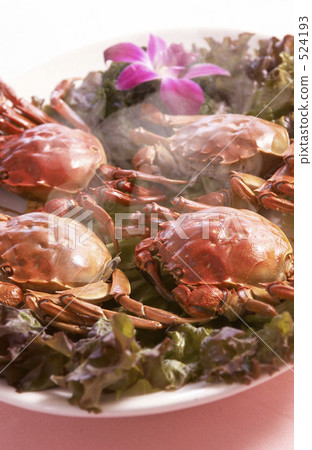 Shanghai Shanghai 524193