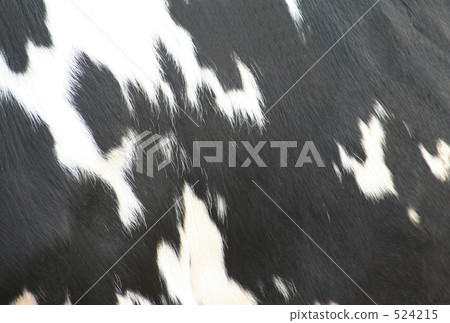 Cattle (Ox) pattern - Stock Illustration [524215] - PIXTA