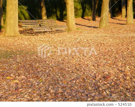 Autumn leaves fallen leaves and benches japan autumn Autumn leaves fallen leaves and benches japan autumn 524510