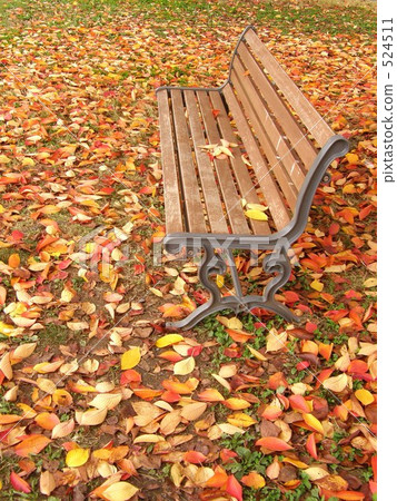 Autumn leaves fallen leaves and benches japan autumn Autumn leaves fallen leaves and benches japan autumn 524511