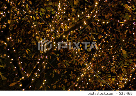 lit up, light up, illuminating 525469