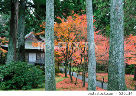 歐久坤 參禪 神殿 526134