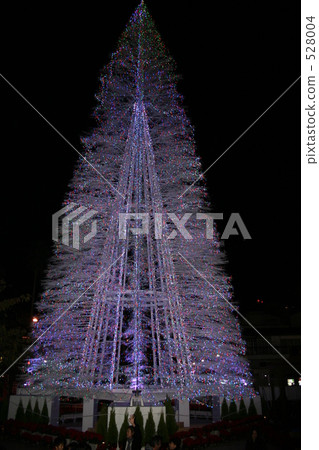 tree, illuminated, illumination 528004