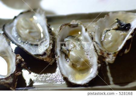 Raw oysters  528168