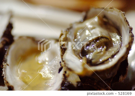 Grilled oyster Grilled oyster 528169