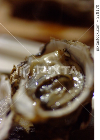 Grilled oyster Grilled oyster 528170