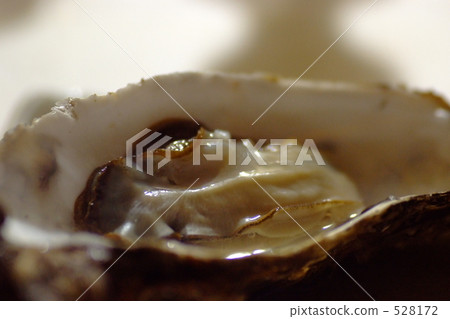 Grilled oyster 528172