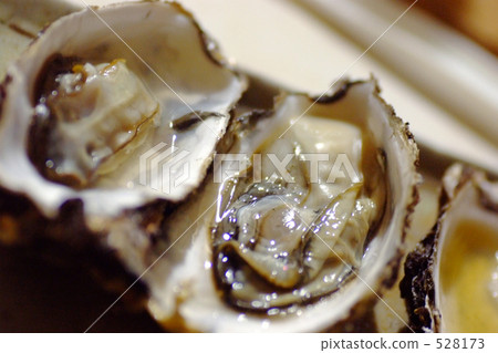 Grilled oyster 528173