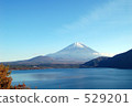Fuji beautiful 529201