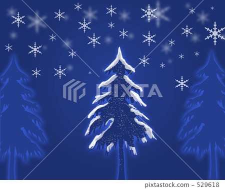 fir tree fir tree 529618