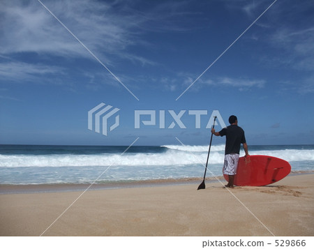 Hawaii North Shore 529866