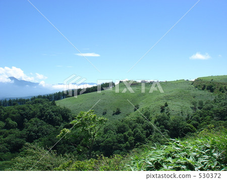 nature, natural, naturals 530372