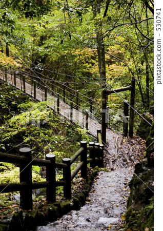 suspension bridge, bridge, bridges 530741