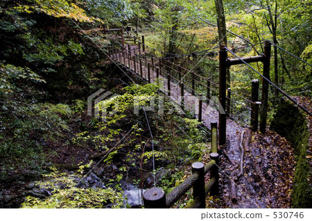 suspension bridge, bridge, bridges 530746