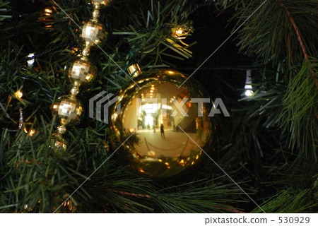 fir tree, fir-tree, firtree 530929