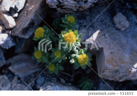 Kita-dake的Iwabenkei Kita-dake的Iwabenkei 531655