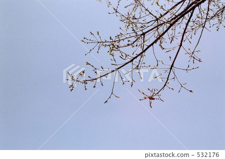 冬天的天空向前 532176