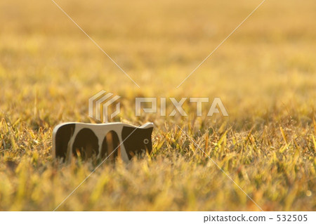A cow at dusk A cow at dusk 532505