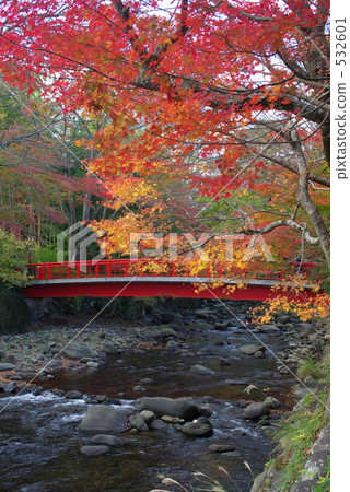 Katsura Bridge of autumn leaves 532601