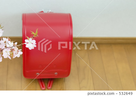 new entry to school, bloom, blossom 532649
