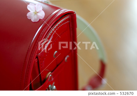 new entry to school, bloom, blossom 532670