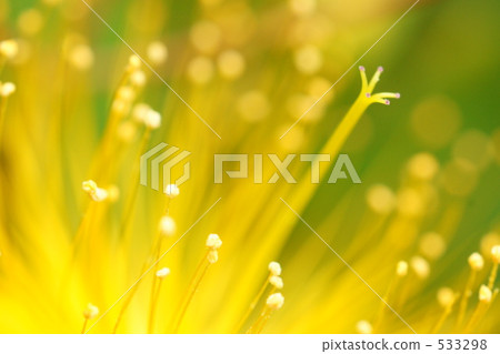 花宏 花宏 533298