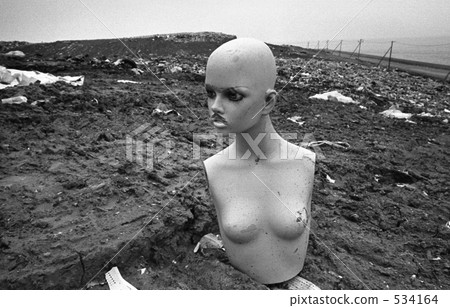 Tokyo Bay · New Yumenoshima (now · Wakasu) Showa 48 534164