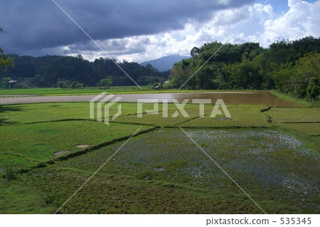 Rural scenery in Indonesia 535345