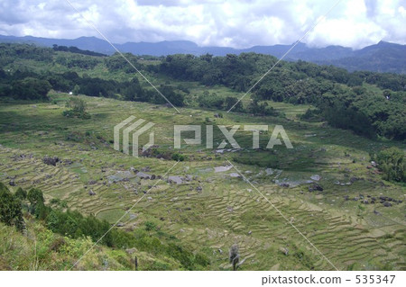 Rice terraces in Indonesia 535347