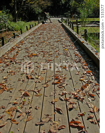 秋天的公園 秋天的公園 535377