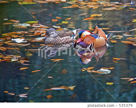 奧利弗的人 奧利弗的人 535379