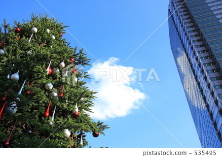 Bill and Christmas tree 535495