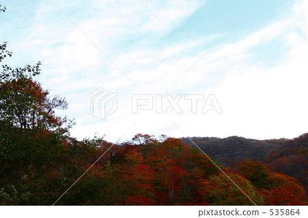 秋葉的Iroha Saka 3 秋葉的Iroha Saka 3 535864