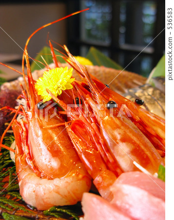 Button shrimp  536583