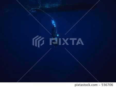 Submarine fishing of Kakurajima 536706