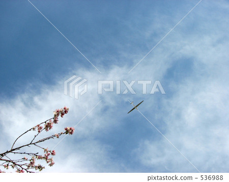 冬天櫻桃和天空 536988