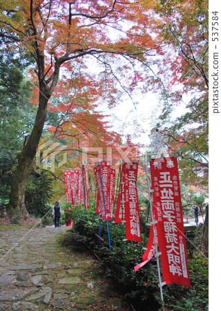 Bokoji Bokoji 537584