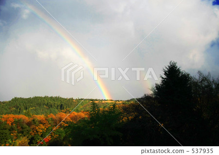 Rainbow  537935