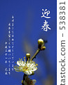 Meihai plum 538381