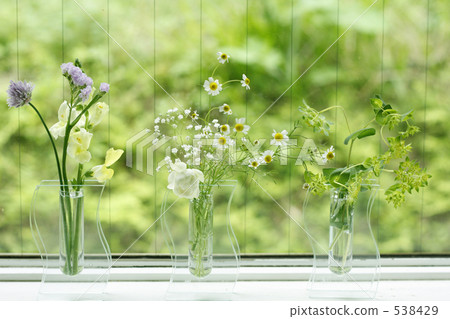Spring flowers 538429