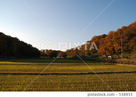 rural districts, rice field, country 538933