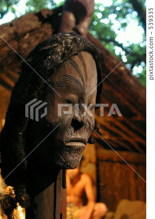 Maori village 539335
