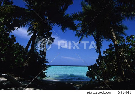 Maldives coastal scenery 539449